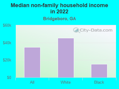 Median non-family household income in 2022