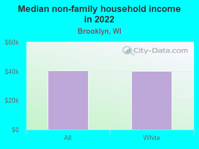 Median non-family household income in 2022