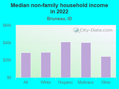 Median non-family household income in 2022