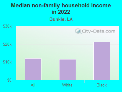 Median non-family household income in 2022