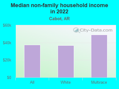 Median non-family household income in 2022