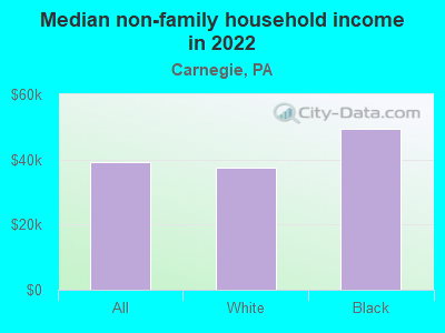 Median non-family household income in 2022