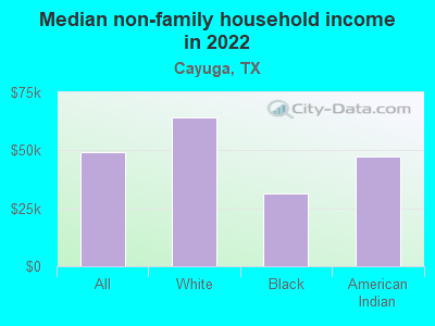 Median non-family household income in 2022