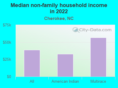 Median non-family household income in 2022