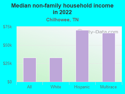 Median non-family household income in 2022