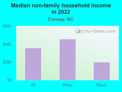 Median non-family household income in 2022