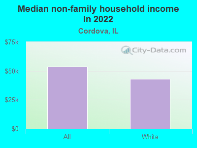 Median non-family household income in 2022