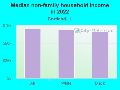 Median non-family household income in 2022