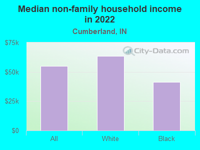 Median non-family household income in 2022