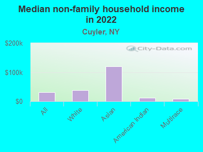 Median non-family household income in 2022