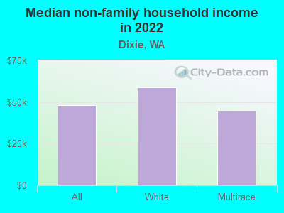 Median non-family household income in 2022