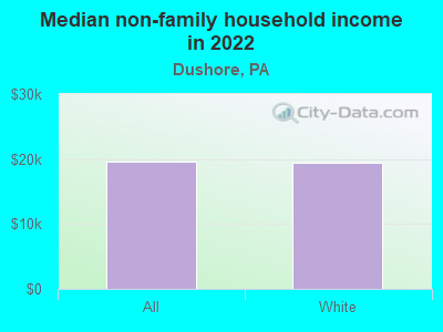 Median non-family household income in 2022