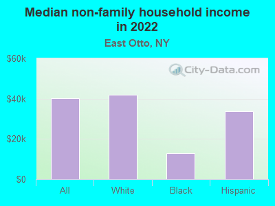 Median non-family household income in 2022