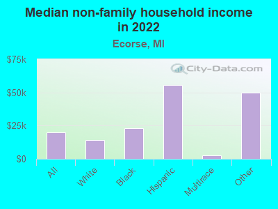 Median non-family household income in 2022