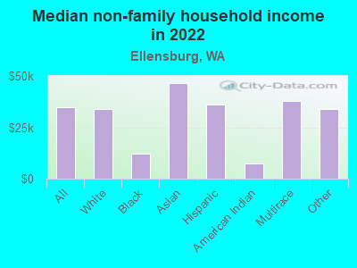 Median non-family household income in 2022