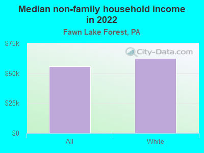 Median non-family household income in 2022