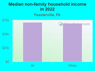 Median non-family household income in 2022