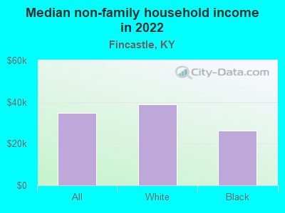 Median non-family household income in 2022