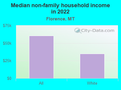 Median non-family household income in 2022