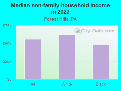 Median non-family household income in 2022