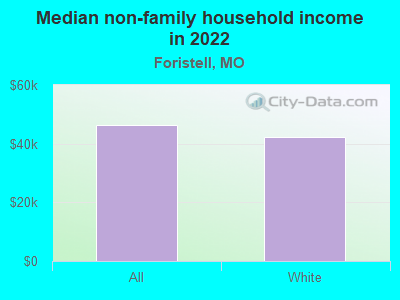 Median non-family household income in 2022