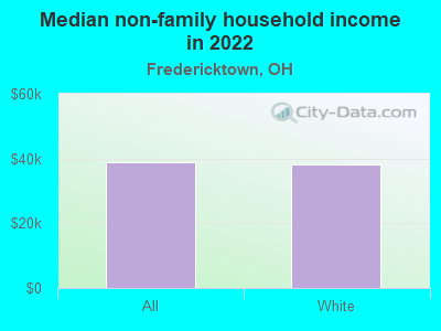 Median non-family household income in 2022