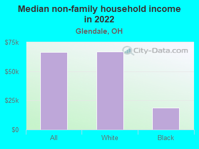 Median non-family household income in 2022