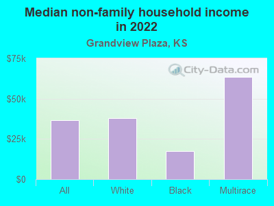 Median non-family household income in 2022