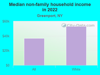 Median non-family household income in 2022