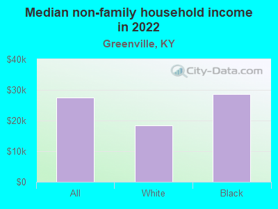 Median non-family household income in 2022