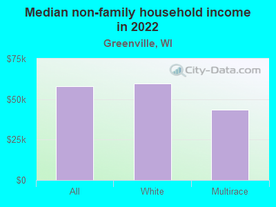 Median non-family household income in 2022