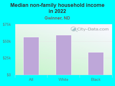 Median non-family household income in 2022