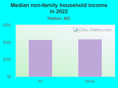 Median non-family household income in 2022