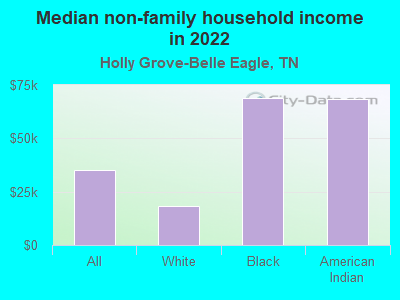 Median non-family household income in 2022