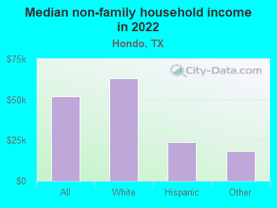 Median non-family household income in 2022