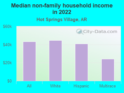 Median non-family household income in 2022