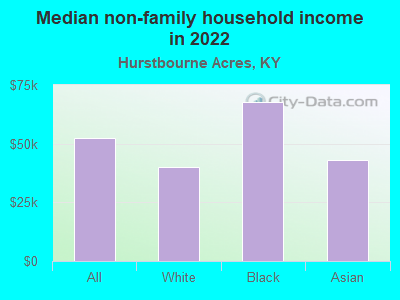 Median non-family household income in 2022