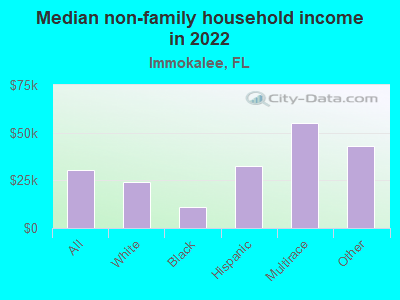 Median non-family household income in 2022