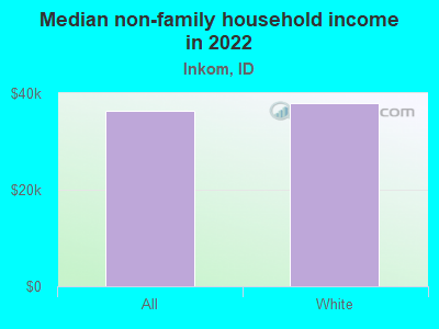 Median non-family household income in 2022