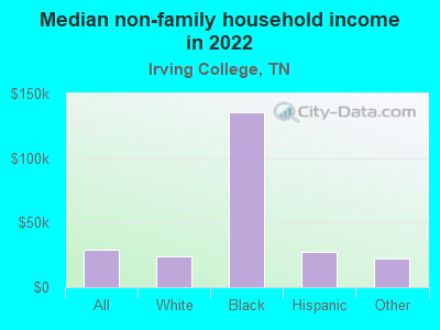 Median non-family household income in 2022