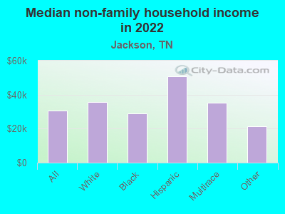 Median non-family household income in 2022