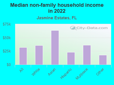 Median non-family household income in 2022