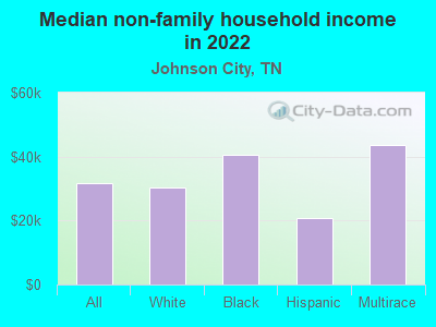 Median non-family household income in 2022