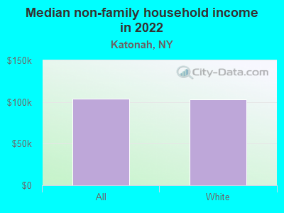 Median non-family household income in 2022