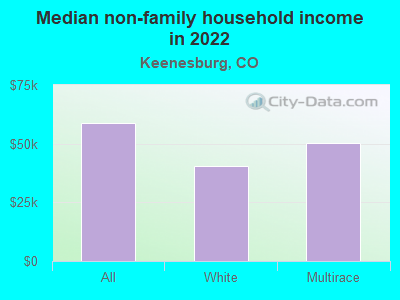 Median non-family household income in 2022