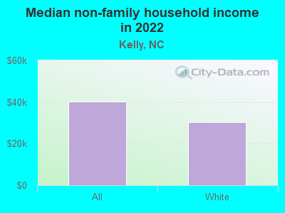 Median non-family household income in 2022