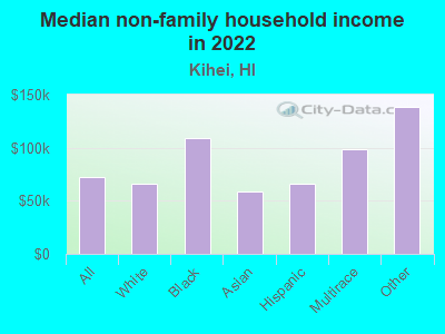 Median non-family household income in 2022