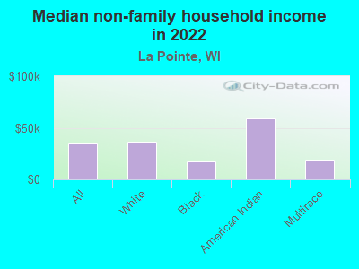 Median non-family household income in 2022