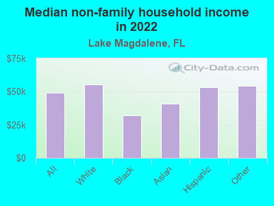 Median non-family household income in 2022