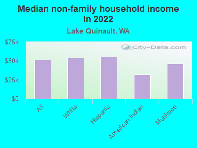 Median non-family household income in 2022